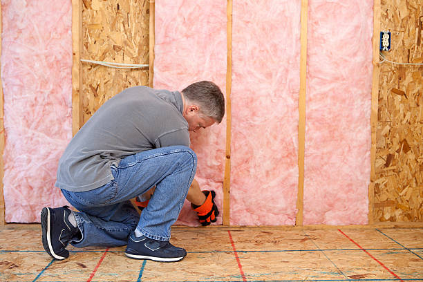 Best Commercial Insulation in Clton, IN